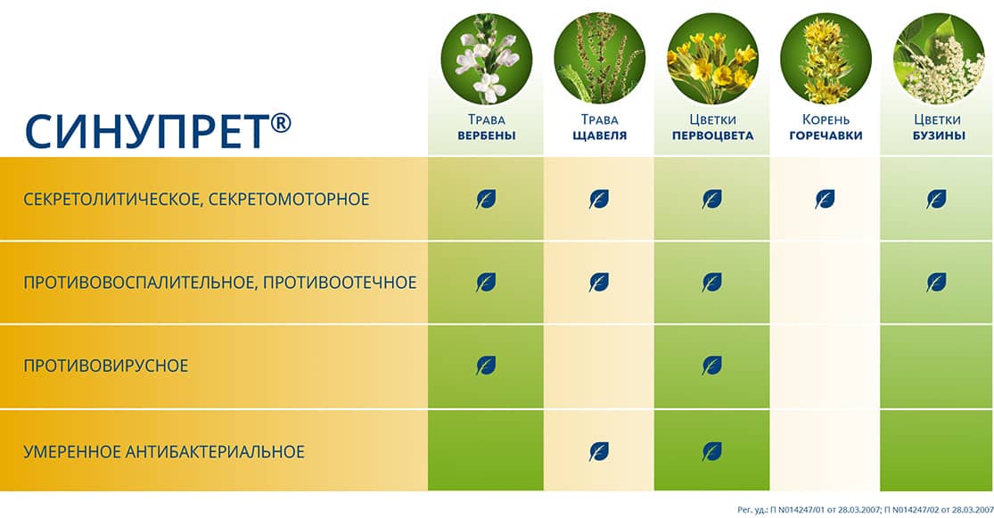 5 лекарственных трав в составе Синупрет